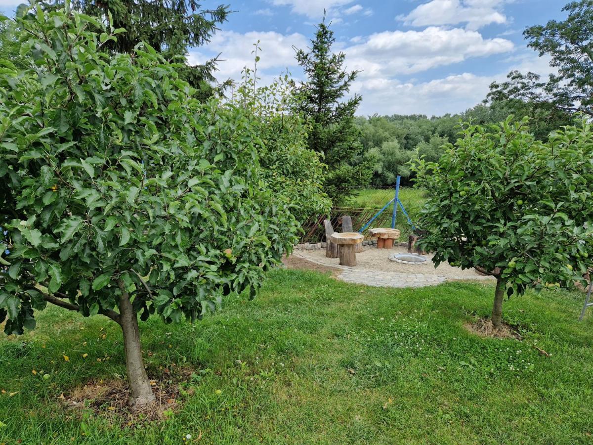 Homestay Ubytovani Klara